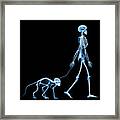 Skeleton Walking A Marmoset Framed Print