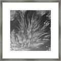 Sky Frost Framed Print