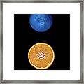 Slices Of  Blue And Orange Fresh Citrus Orange Fruit Framed Print