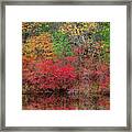 Small Pond In Autumn Framed Print