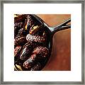 Smoked Paprika Framed Print