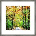 Smoky Mountain Autumn Framed Print