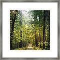 Smoky Mountain Mists Framed Print