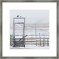 Snow And Corral 01 Framed Print