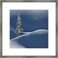 Snow Covered Tree And Mountains Color Framed Print