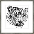 Snow Leopard - Ink Illustration Framed Print