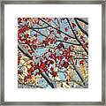 Snow On Maple Leaves Framed Print