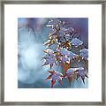 Snow Piled Up In Autumn Leaves Framed Print