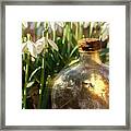Snowdrop Flowers And Old Glass Jar With Sunlight Framed Print