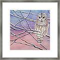 Snowy Barred Owl Framed Print