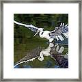 Snowy Egret 8422-061819 Framed Print