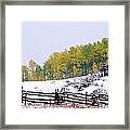 Snowy Fence And Aspens Near Ridgeway Framed Print