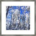 Snowy Forest And Blue Skies Framed Print