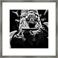 Social Identity Framed Print