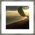 Socotra_flying Framed Print