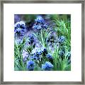 Soft Blue Framed Print