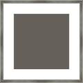 Solid Gray For Matching Home Decor Pillows And Blankets Framed Print
