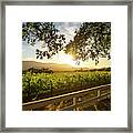 Sonoma Sunset Framed Print