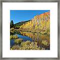 South Elbert Autumn Beauty Framed Print