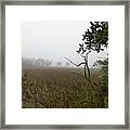 Southern Layers Of Fog Framed Print