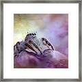 Spider On Pouring Colors Framed Print