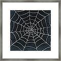 Spider Web Framed Print