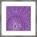 Spider Web On A Purple Background Framed Print