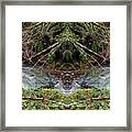 Spirit Of Wilson Creek #2 Framed Print