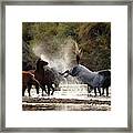 Splashing Kick Framed Print