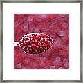 Spoon Of Pomegranate Framed Print