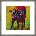 Spring Calf Framed Print