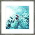 Spruce Branch With Cone Framed Print