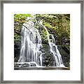 Spruce Flats Falls 8 Framed Print