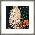 Squaw Grass And Scarlet Paint Brush Framed Print