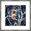 Squirrel In The Trees Framed Print