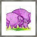Squizit Visit Page 37 Framed Print