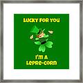 St  Patricks Day Lucky Leprechaun Framed Print