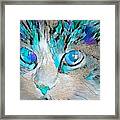 Stained Glass Cat Portrait Light Blue Framed Print