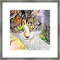 Stained Glass Cat Stare Framed Print