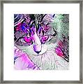 Stained Glass Cat Stare Pink Eyes Framed Print