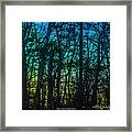 Stained Glass Dawn Framed Print