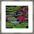 Stained Glass Water Lilies Framed Print