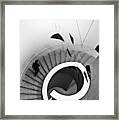 Stairs Framed Print