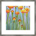 Stand Up Marigolds Framed Print