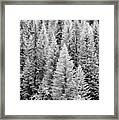 Standing Tall In The French Alps Framed Print