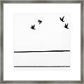 Starlings Flyby Framed Print