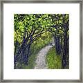 Stay The Path Framed Print