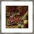 Still Life Of Raspberries, Gooseberries, Peach And Plums On A Mossy Bank Framed Print