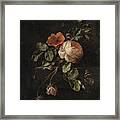 Still Life With Roses. Framed Print