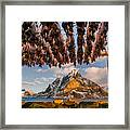 Stockfish In Lofoten Framed Print